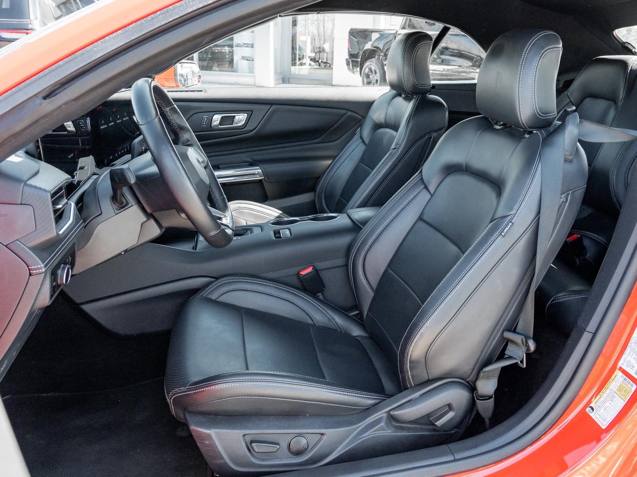 2025 Ford Mustang EcoBoost Premium   Convertible   Clean Carfax Photo