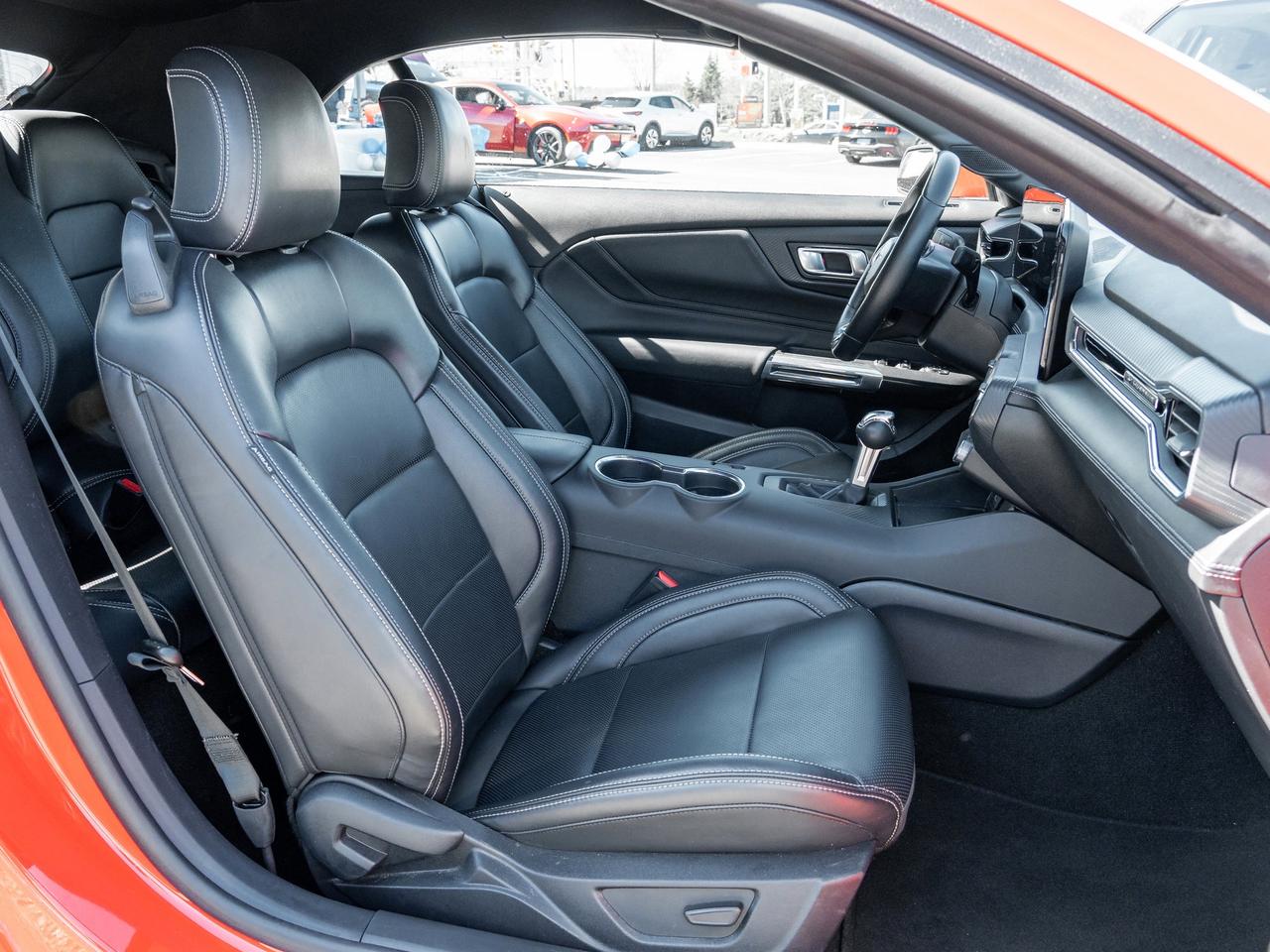 2025 Ford Mustang EcoBoost Premium   Convertible   Clean Carfax Photo