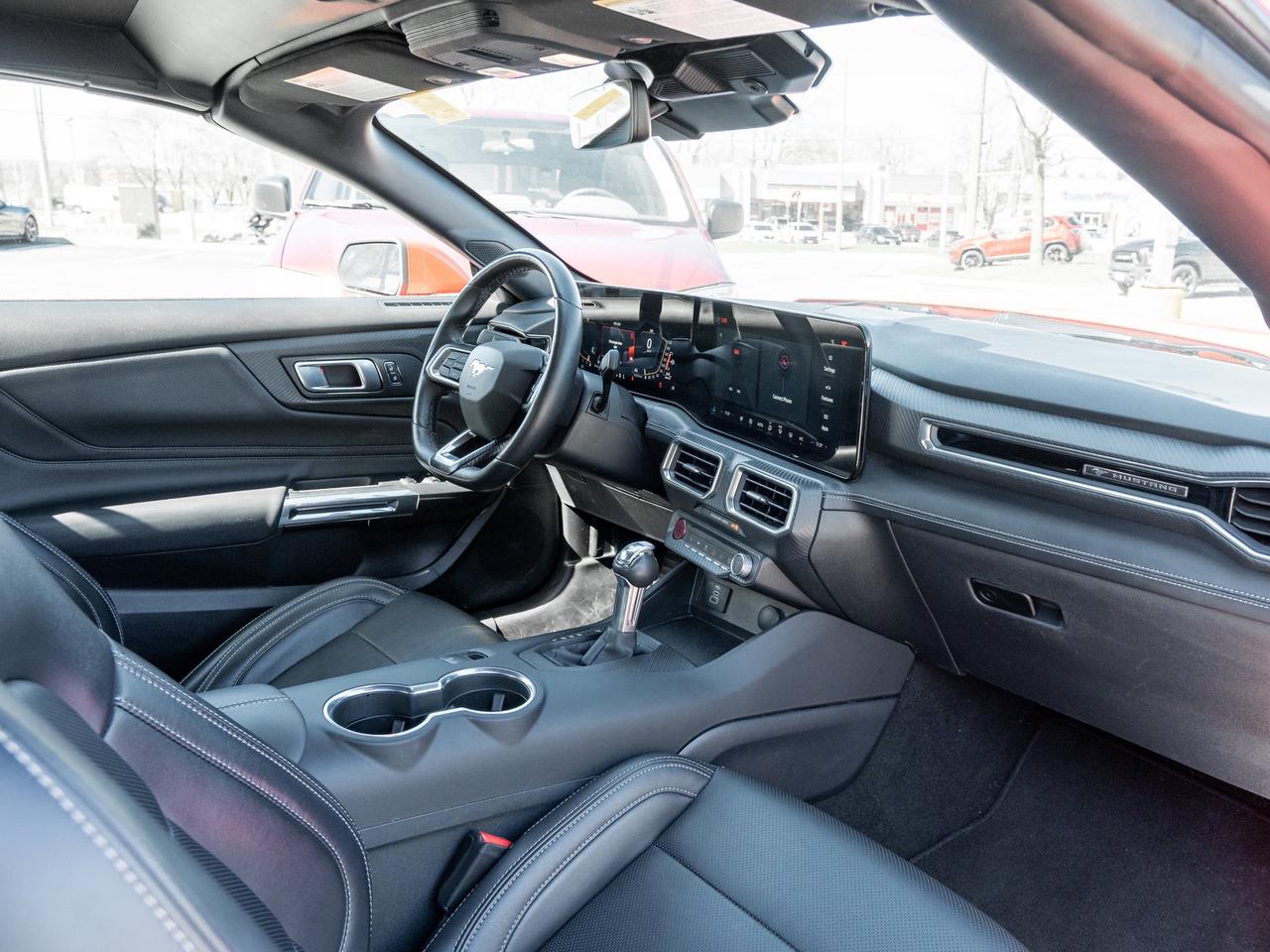 2025 Ford Mustang EcoBoost Premium   Convertible   Clean Carfax Photo