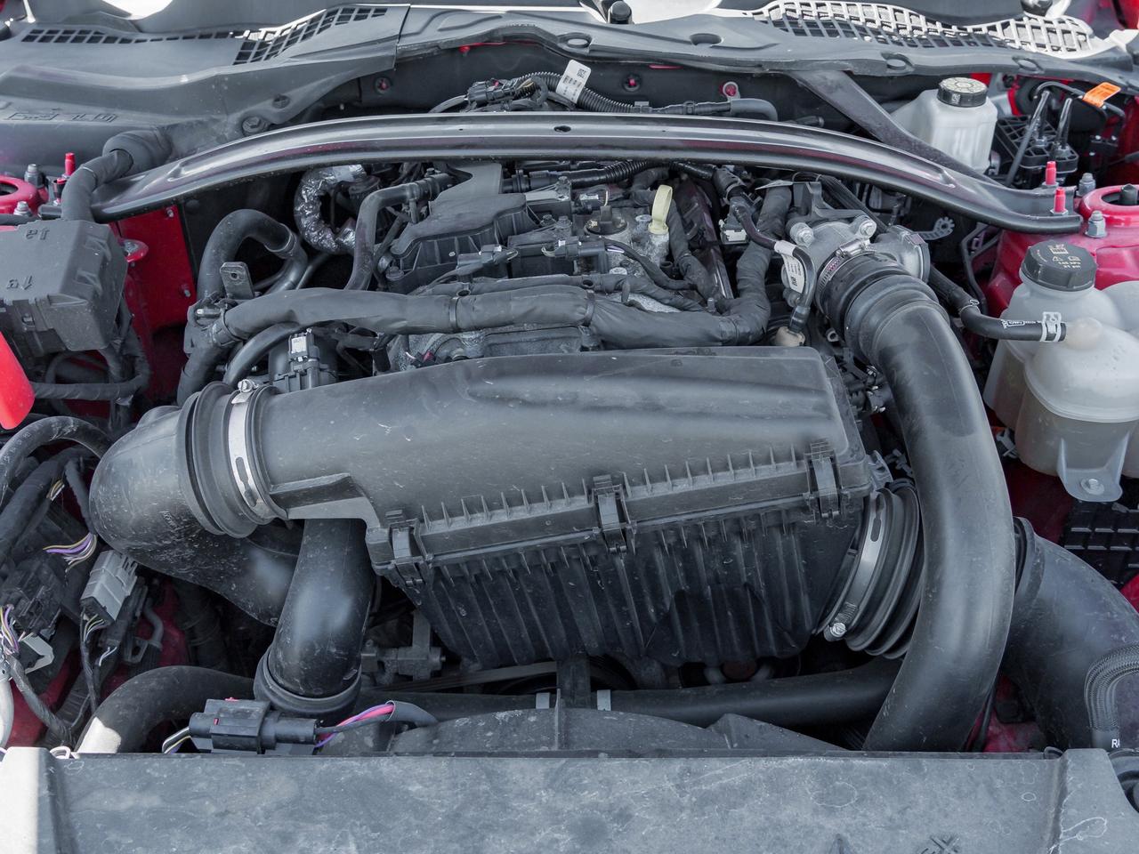 2025 Ford Mustang EcoBoost Premium   Convertible   Clean Carfax Photo