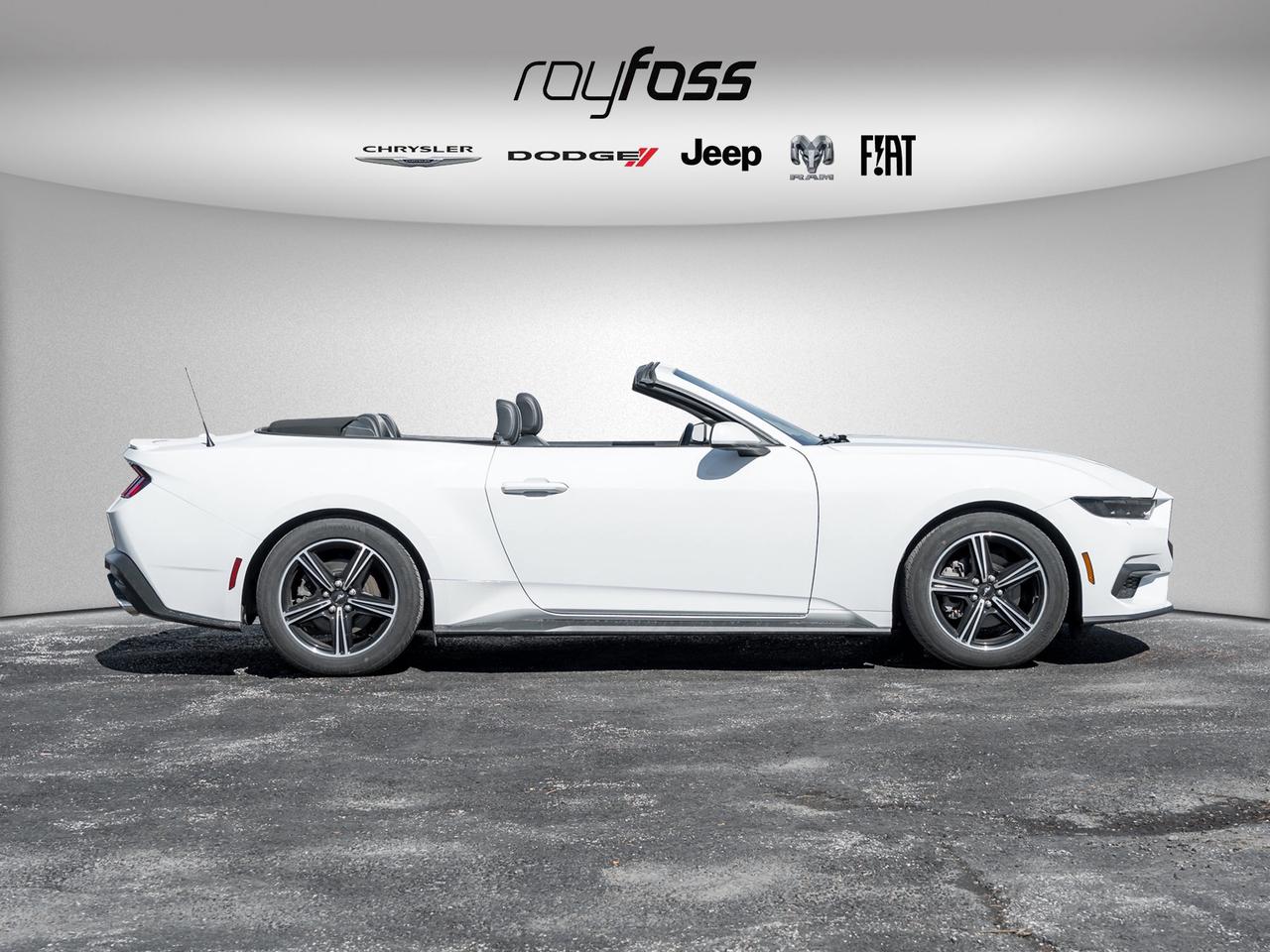 2025 Ford Mustang EcoBoost Premium   Convertible   Clean Carfax Photo