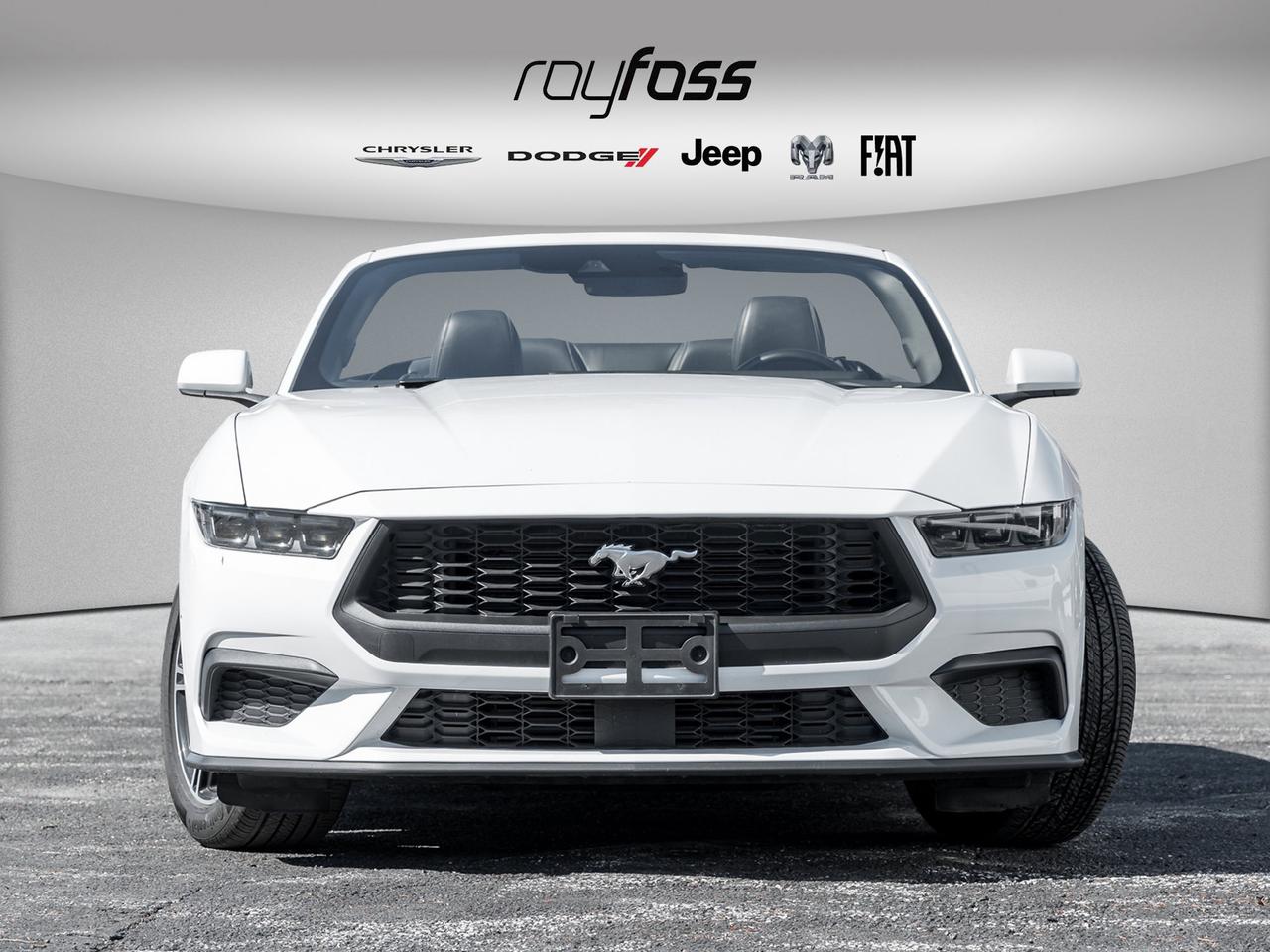 2025 Ford Mustang EcoBoost Premium   Convertible   Clean Carfax Photo2