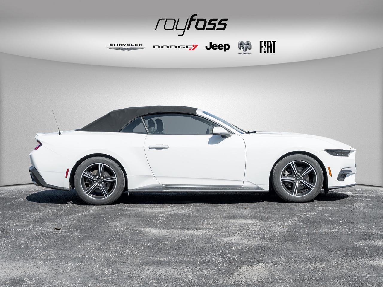2025 Ford Mustang EcoBoost Premium   Convertible   Clean Carfax Photo4
