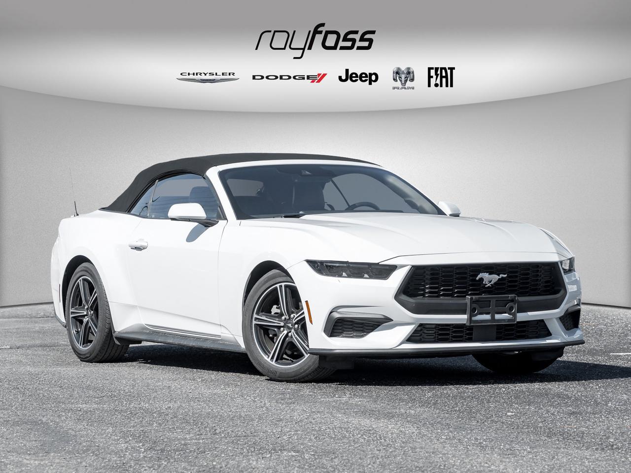 2025 Ford Mustang EcoBoost Premium   Convertible   Clean Carfax Photo