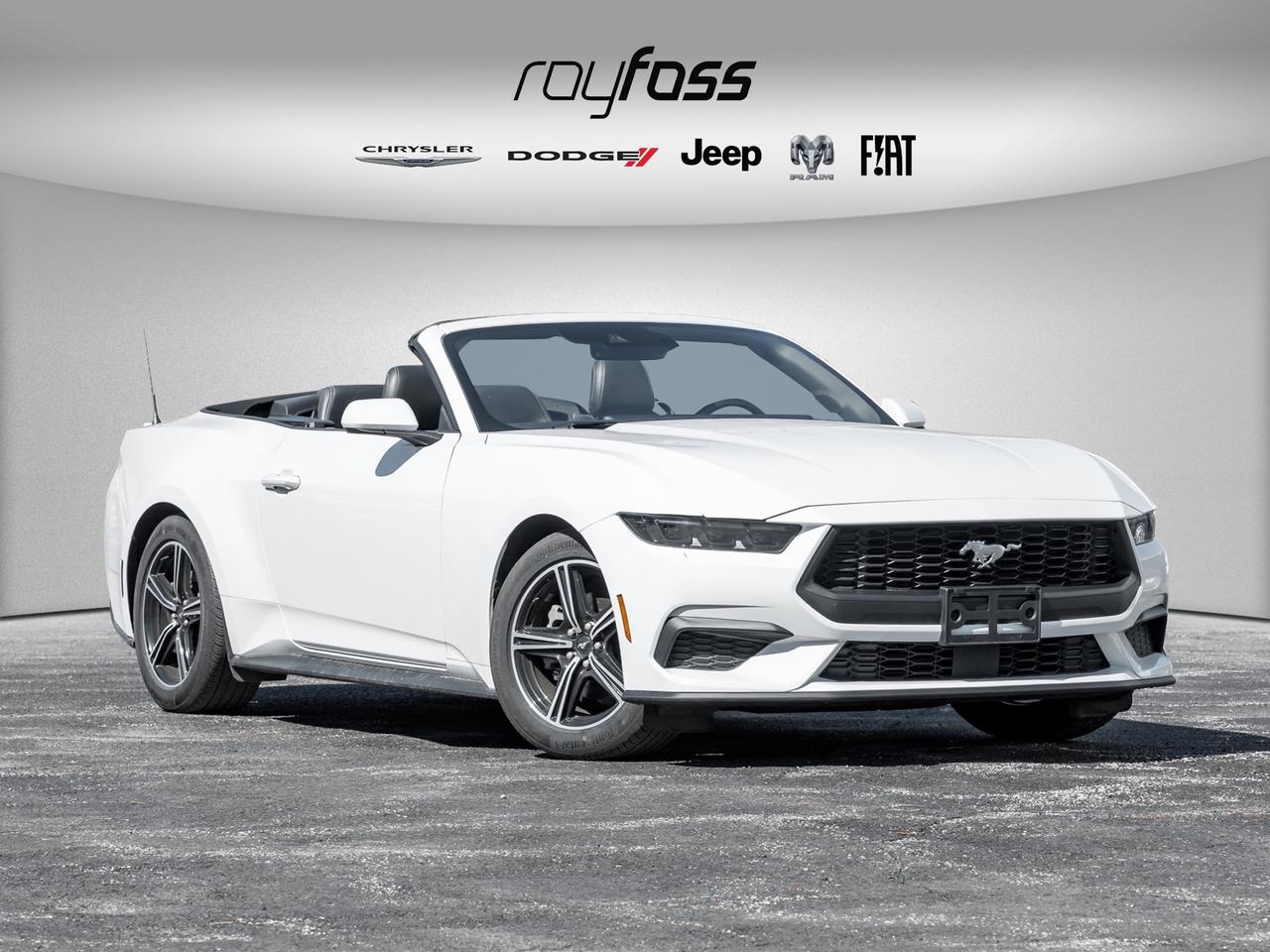 2025 Ford Mustang EcoBoost Premium   Convertible   Clean Carfax Photo