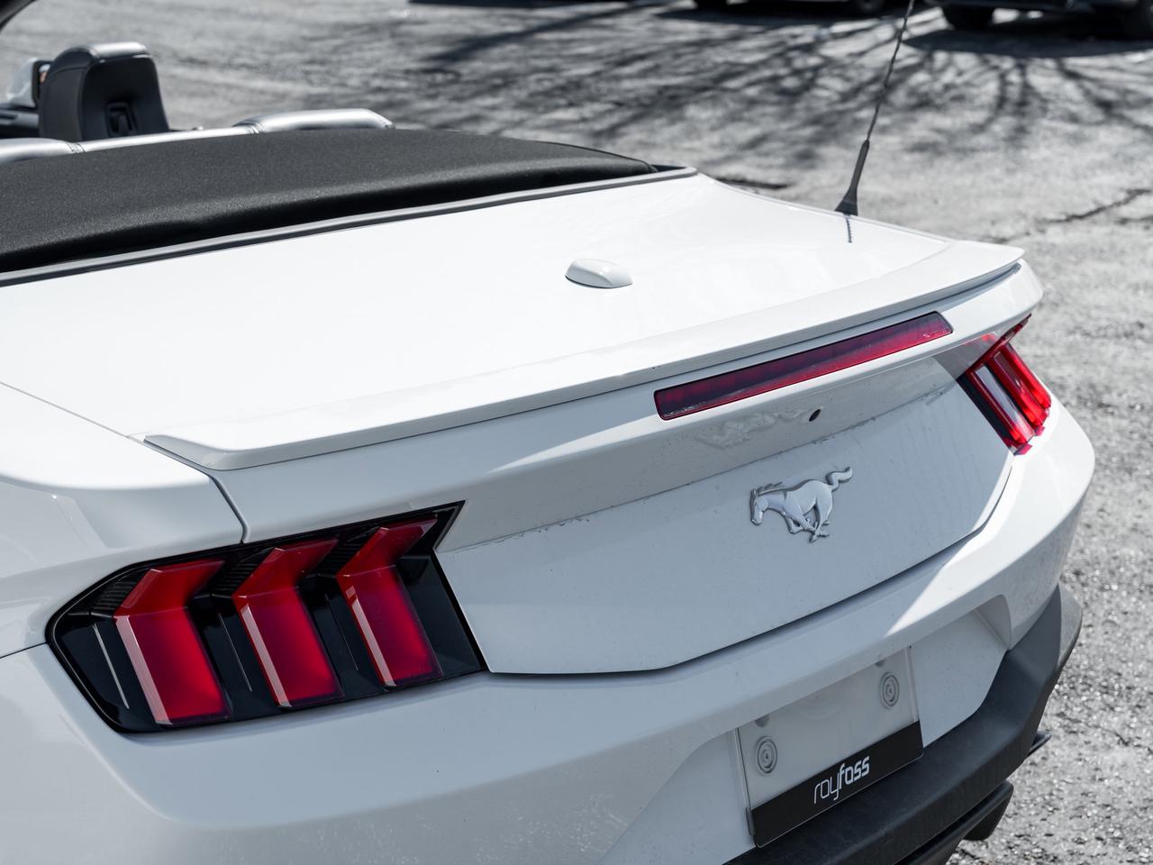2025 Ford Mustang EcoBoost Premium   Convertible   Clean Carfax Photo