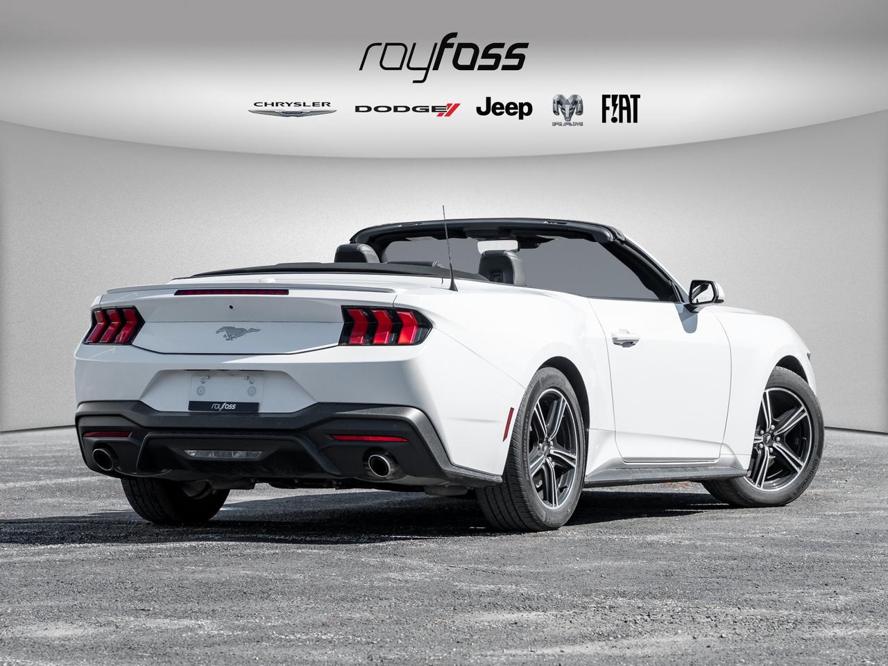 2025 Ford Mustang EcoBoost Premium   Convertible   Clean Carfax Photo