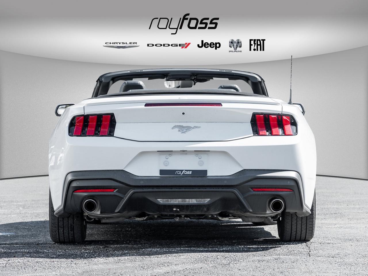 2025 Ford Mustang EcoBoost Premium   Convertible   Clean Carfax Photo