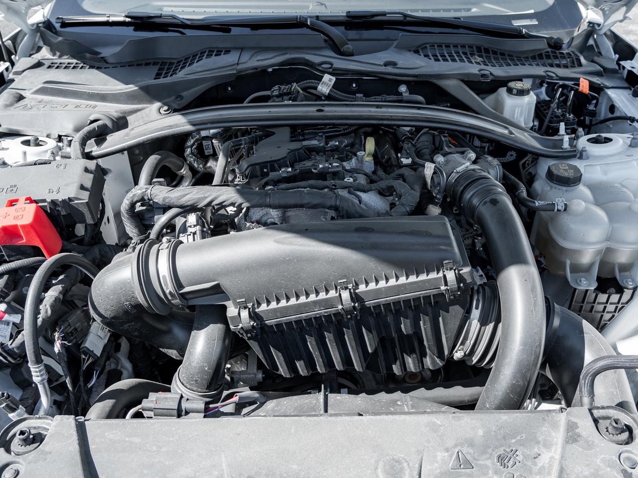 2025 Ford Mustang EcoBoost Premium   Convertible   Clean Carfax Photo