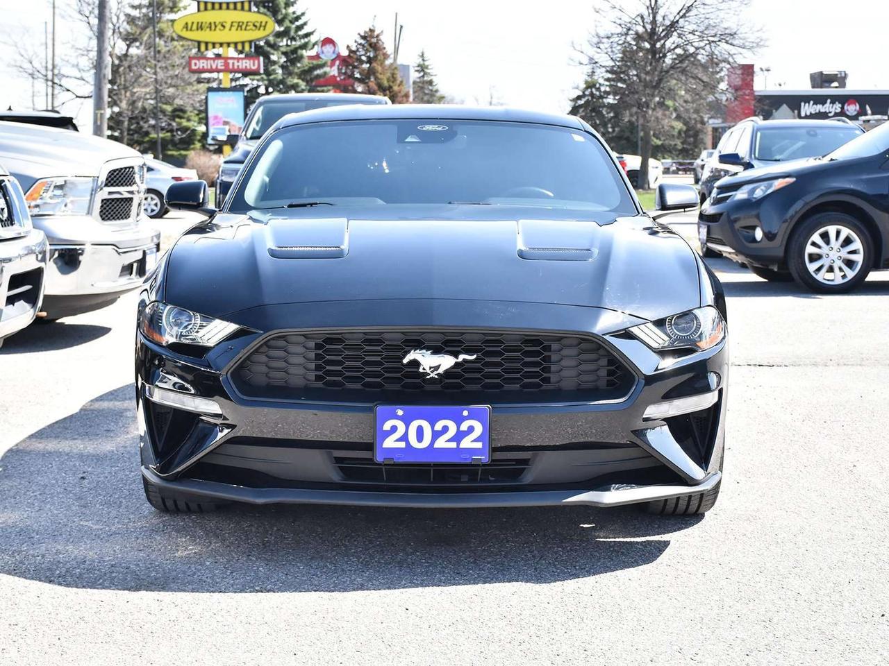 2022 Ford Mustang EcoBoost Fastback ~Nav ~Cam ~Bluetooth ~Blind Spot Photo
