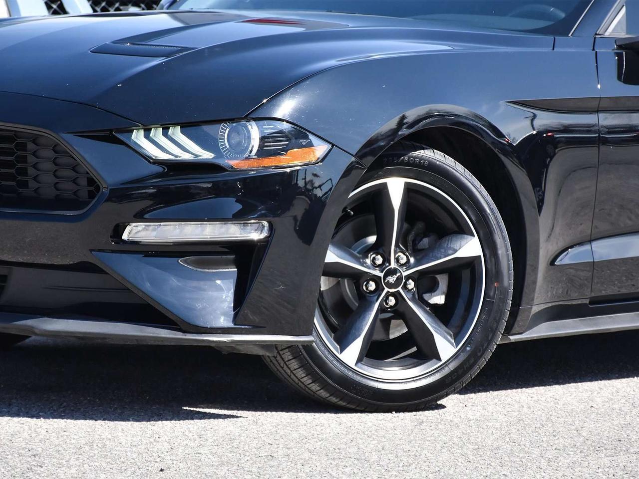 2022 Ford Mustang EcoBoost Fastback ~Nav ~Cam ~Bluetooth ~Blind Spot Photo