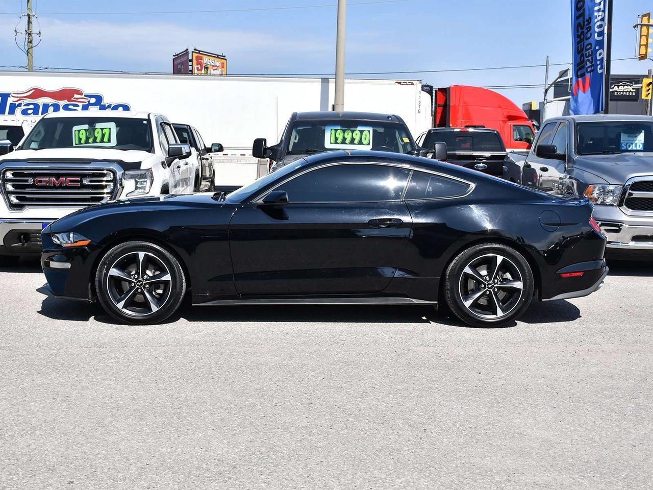 2022 Ford Mustang EcoBoost Fastback ~Nav ~Cam ~Bluetooth ~Blind Spot Photo