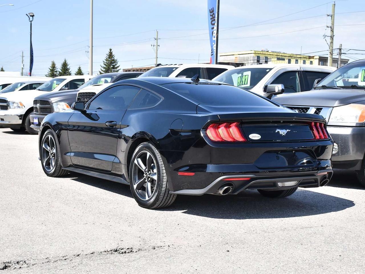 2022 Ford Mustang EcoBoost Fastback ~Nav ~Cam ~Bluetooth ~Blind Spot Photo