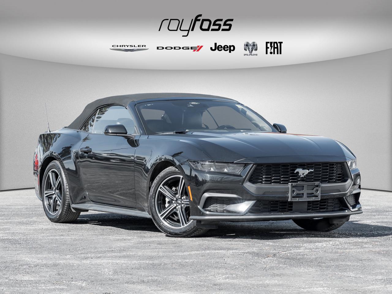 2025 Ford Mustang EcoBoost Premium   Convertible   Clean Carfax Photo