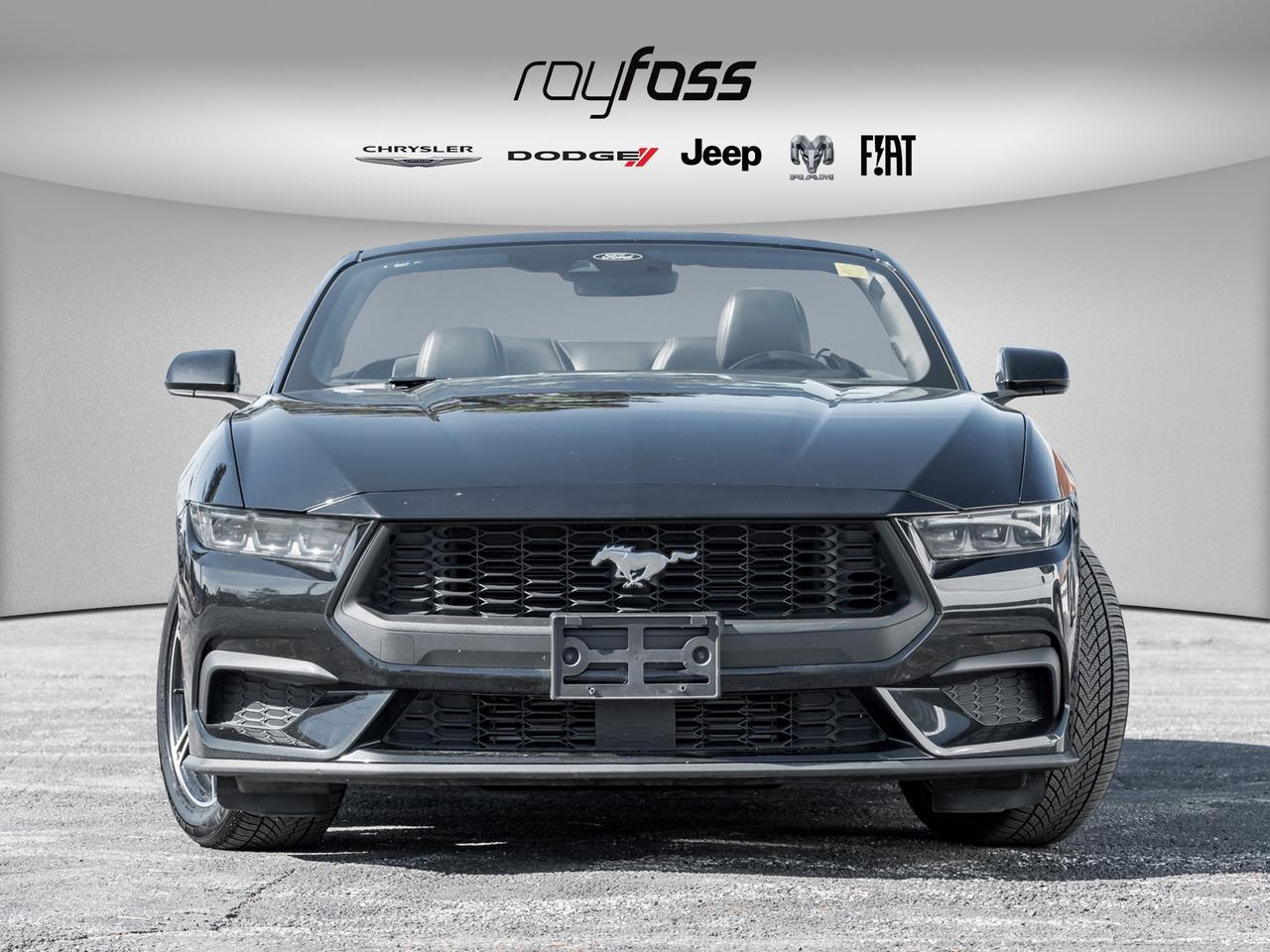 2025 Ford Mustang EcoBoost Premium   Convertible   Clean Carfax Photo2