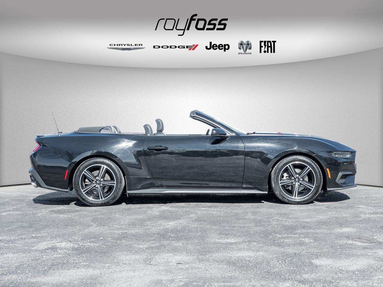 2025 Ford Mustang EcoBoost Premium   Convertible   Clean Carfax Photo