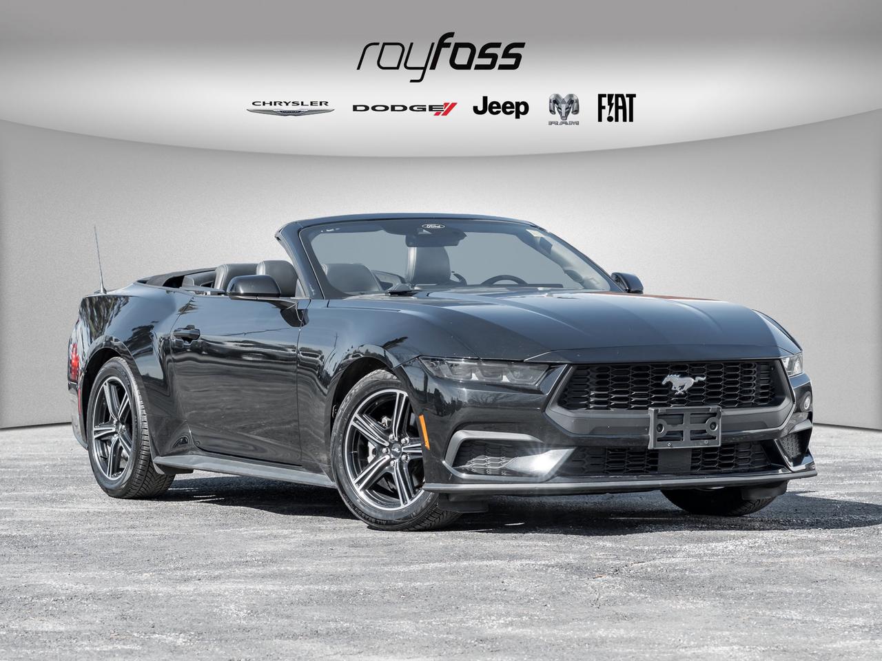 2025 Ford Mustang EcoBoost Premium   Convertible   Clean Carfax Photo