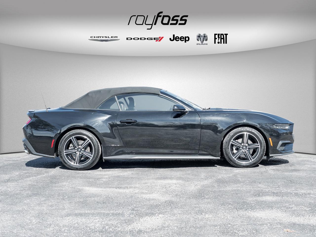 2025 Ford Mustang EcoBoost Premium   Convertible   Clean Carfax Photo