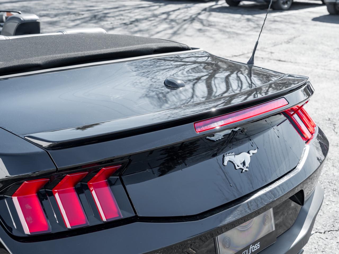 2025 Ford Mustang EcoBoost Premium   Convertible   Clean Carfax Photo