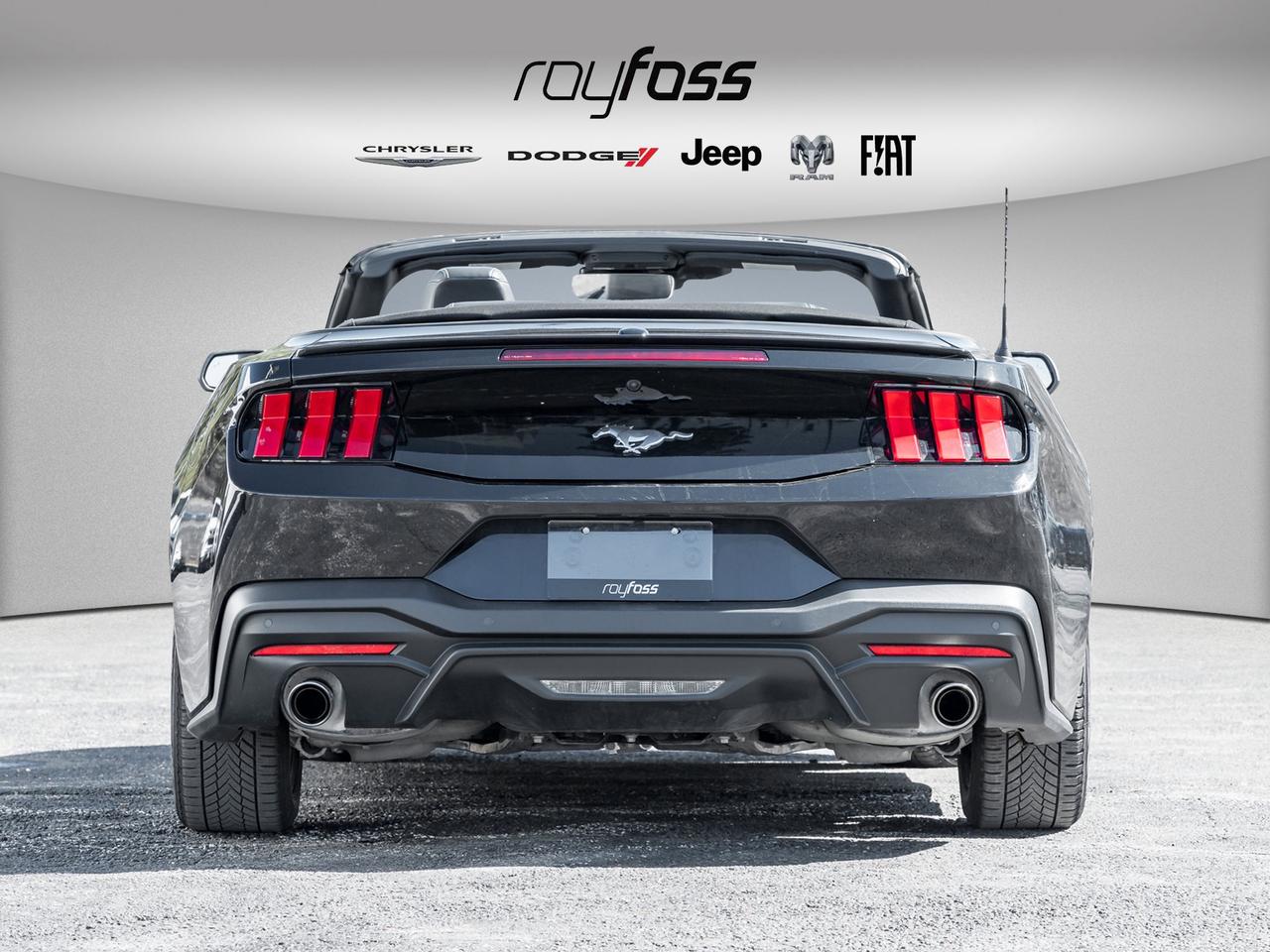 2025 Ford Mustang EcoBoost Premium   Convertible   Clean Carfax Photo