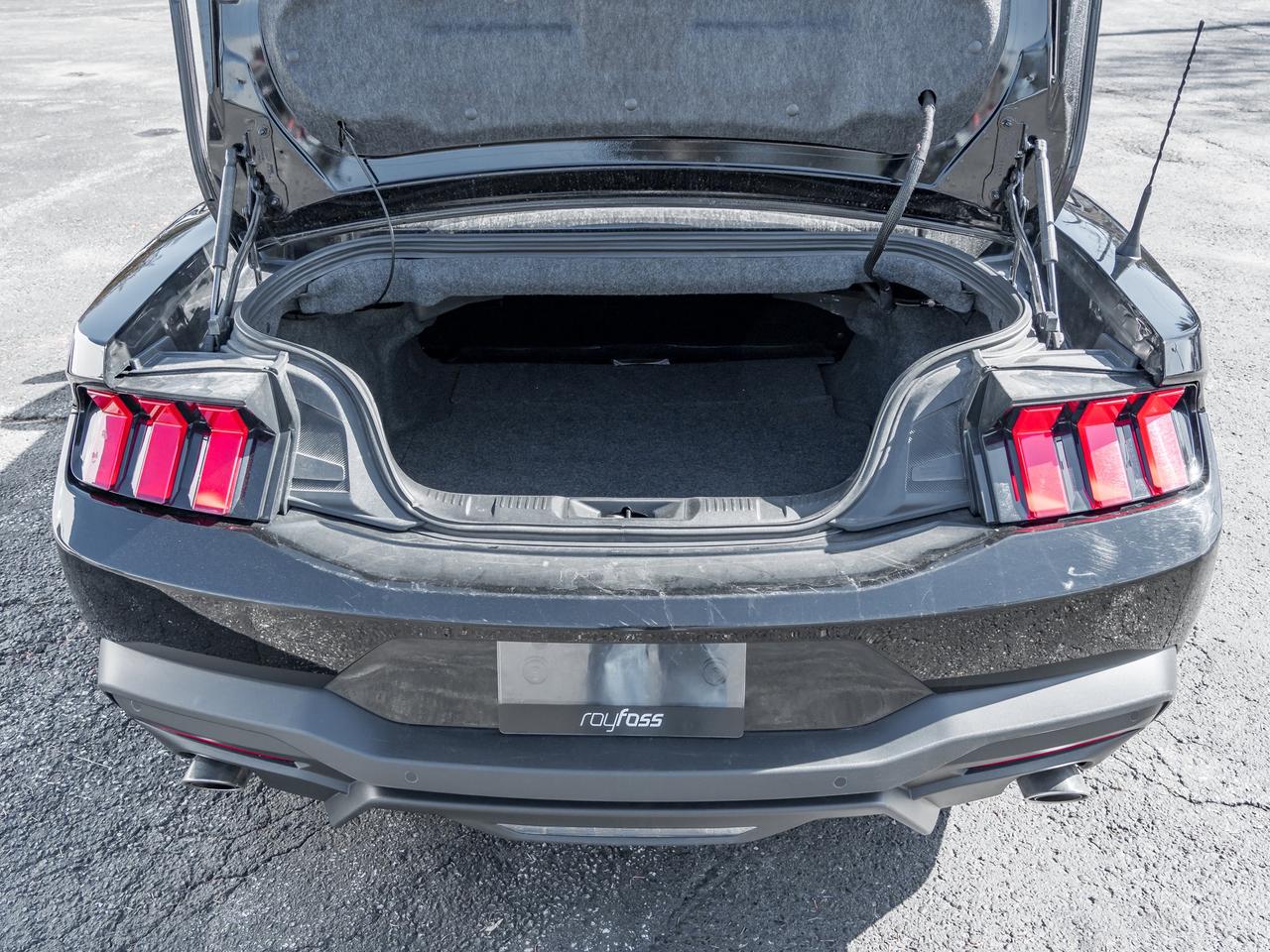2025 Ford Mustang EcoBoost Premium   Convertible   Clean Carfax Photo
