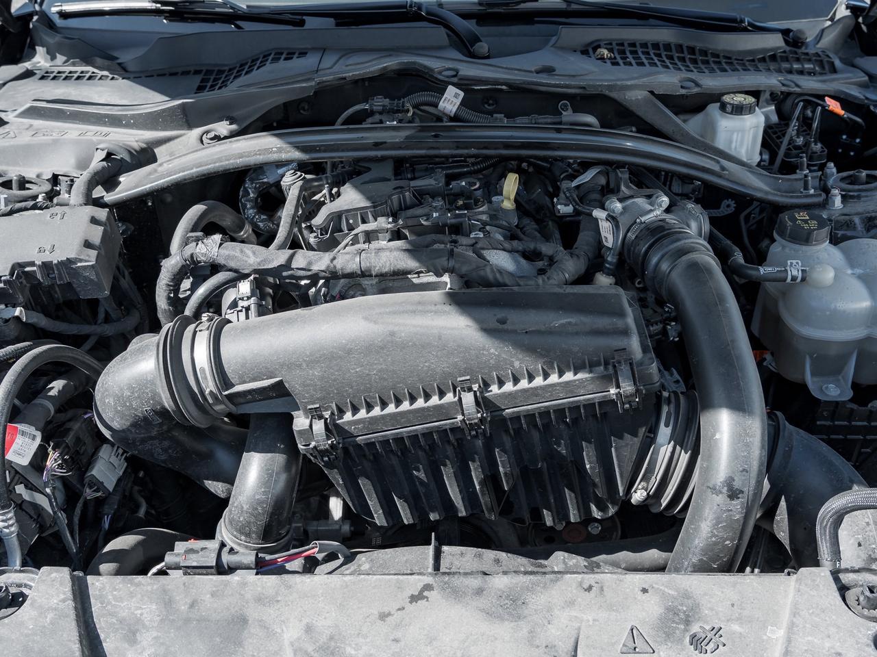 2025 Ford Mustang EcoBoost Premium   Convertible   Clean Carfax Photo