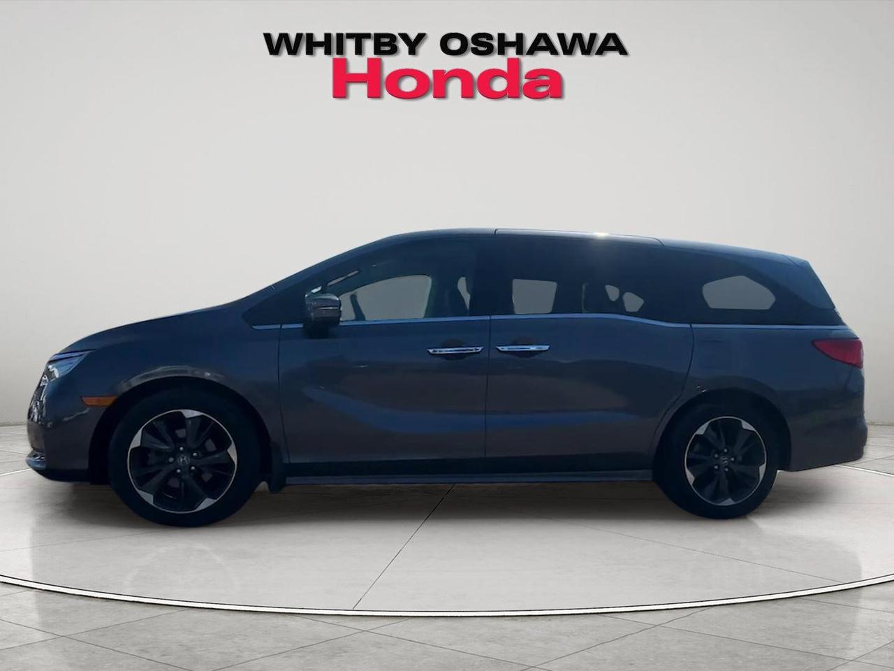 2024 Honda Odyssey Touring Auto Photo