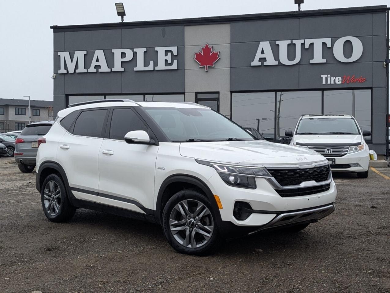 2022 Kia Seltos EX AWD   LEATHER   SUNROOF   CAMERA   HTD SEATS Photo0