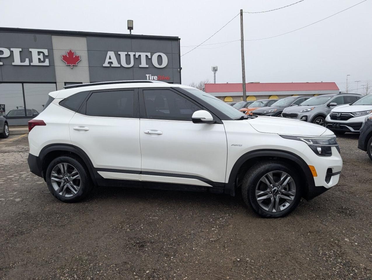 2022 Kia Seltos EX AWD   LEATHER   SUNROOF   CAMERA   HTD SEATS Photo4