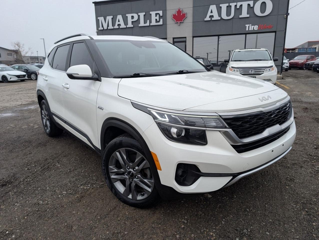 2022 Kia Seltos EX AWD   LEATHER   SUNROOF   CAMERA   HTD SEATS Photo3