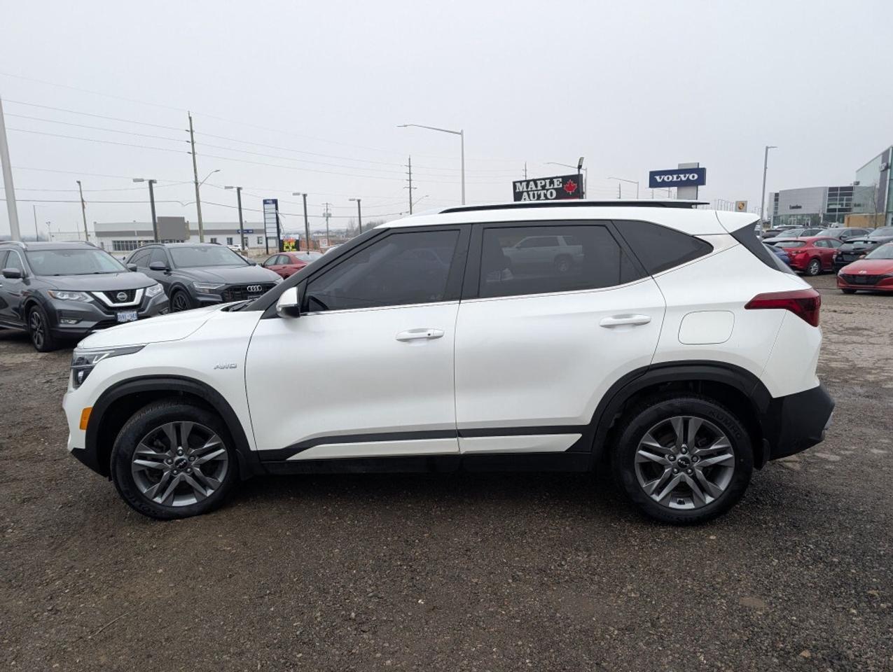 2022 Kia Seltos EX AWD   LEATHER   SUNROOF   CAMERA   HTD SEATS Photo