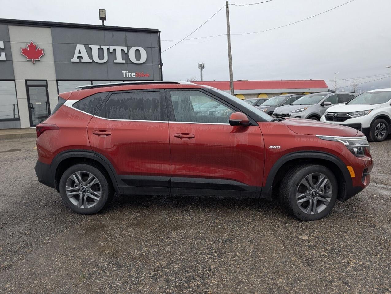 2023 Kia Seltos EX   LEATHER   SUNROOF   CAMERA   HTD SEATS Photo4
