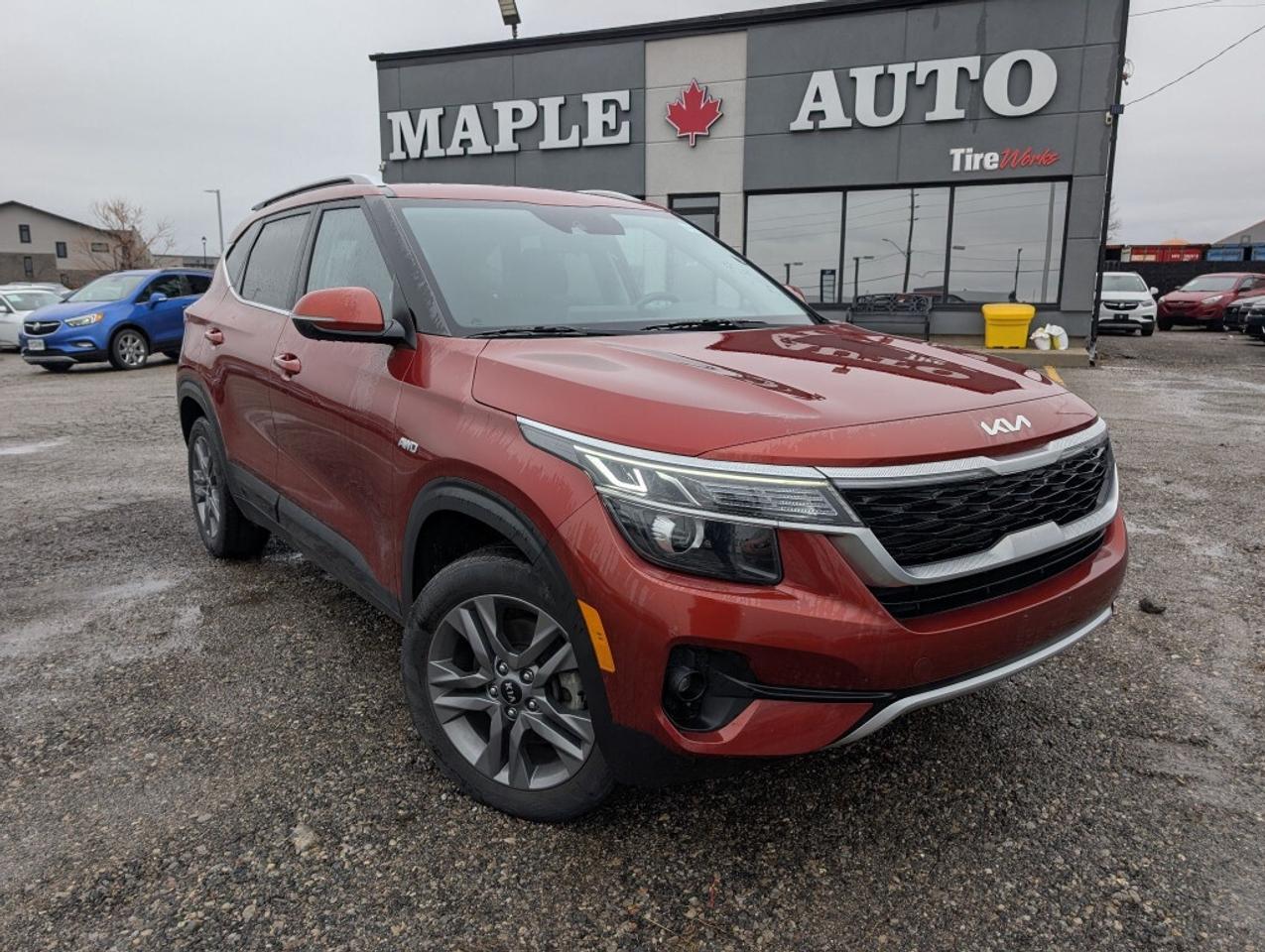 2023 Kia Seltos EX   LEATHER   SUNROOF   CAMERA   HTD SEATS Photo