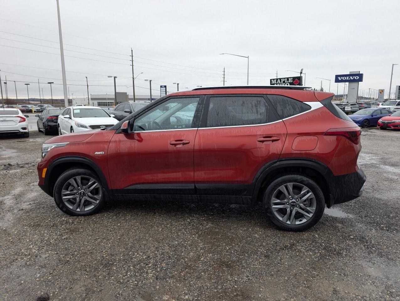 2023 Kia Seltos EX   LEATHER   SUNROOF   CAMERA   HTD SEATS Photo
