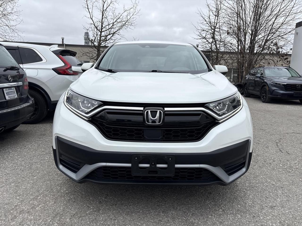 2021 Honda CR-V LX AWD Photo