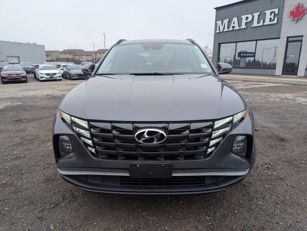 2024 Hyundai Tucson Preferred AWD   NAV   CAMERA   HTD SEATS   CARPLAY Photo