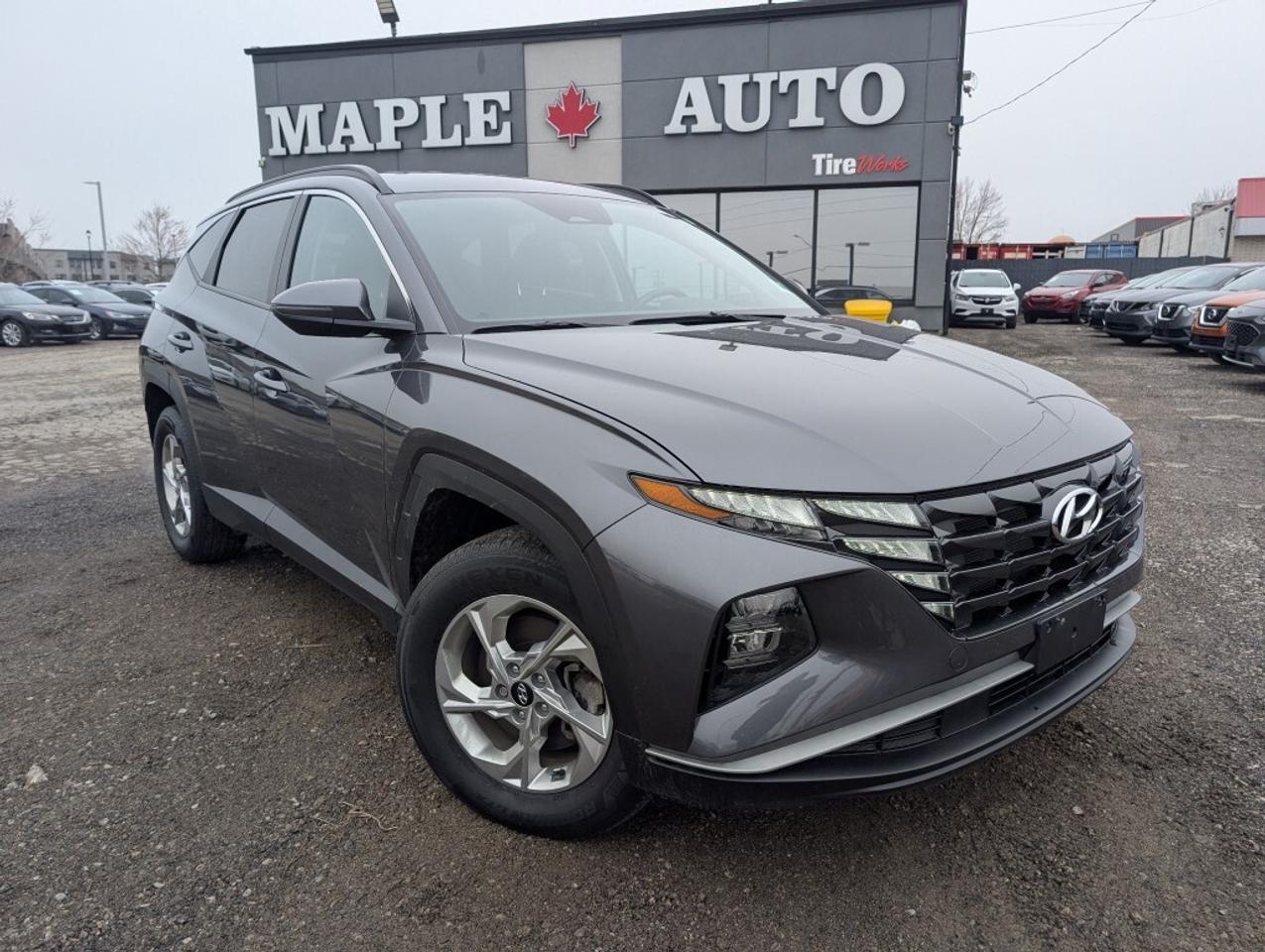 2024 Hyundai Tucson Preferred AWD   NAV   CAMERA   HTD SEATS   CARPLAY Photo