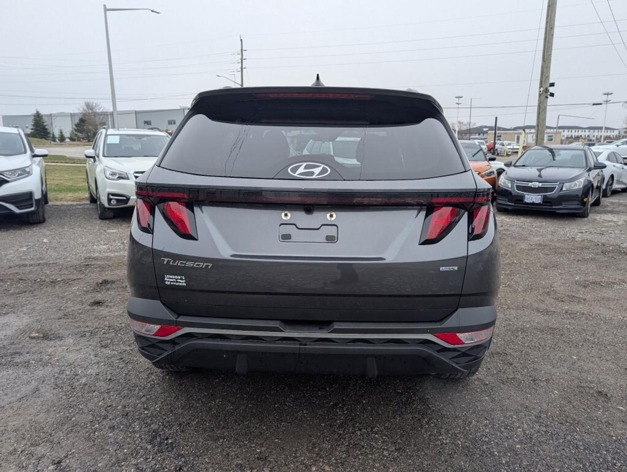 2024 Hyundai Tucson Preferred AWD   NAV   CAMERA   HTD SEATS   CARPLAY Photo