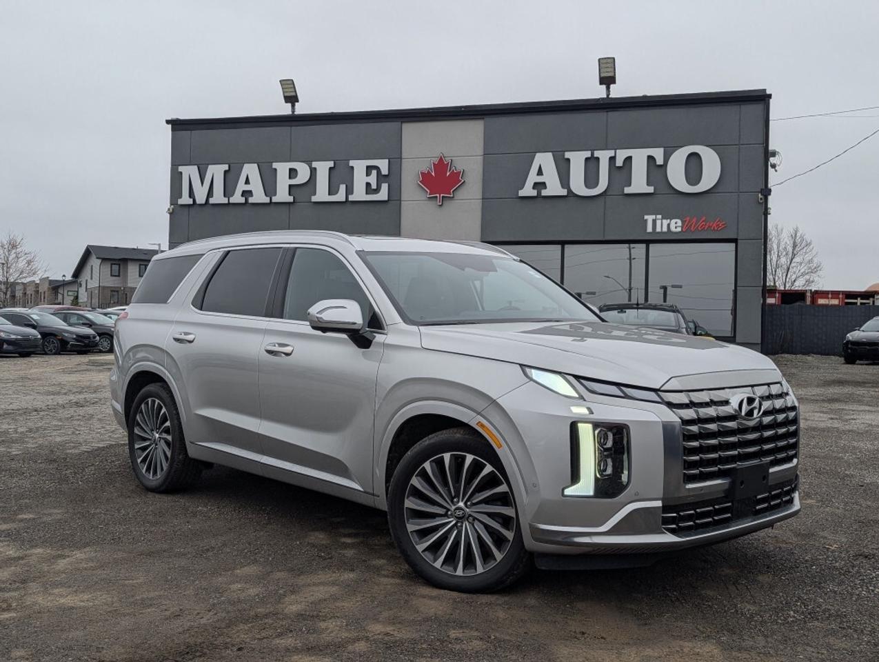 2024 Hyundai PALISADE Ultimate Calligraphy Photo0