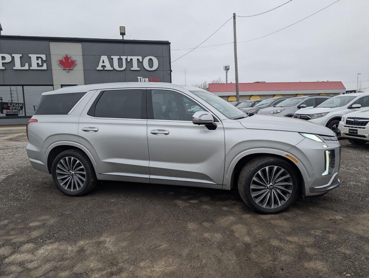 2024 Hyundai PALISADE Ultimate Calligraphy Photo4