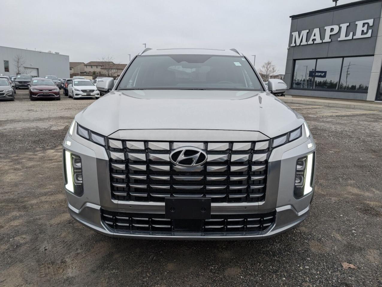 2024 Hyundai PALISADE Ultimate Calligraphy Photo