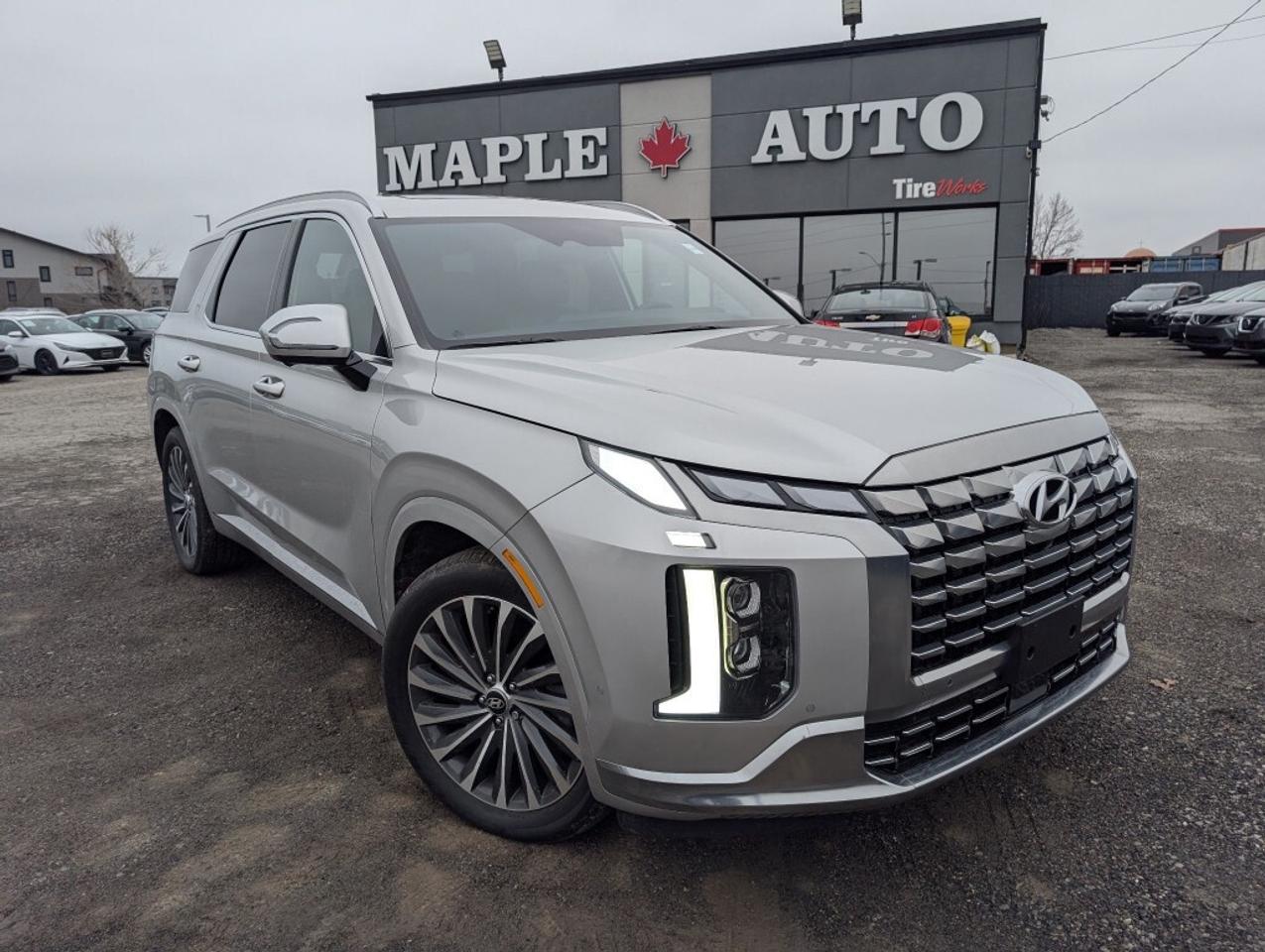 2024 Hyundai PALISADE Ultimate Calligraphy Photo