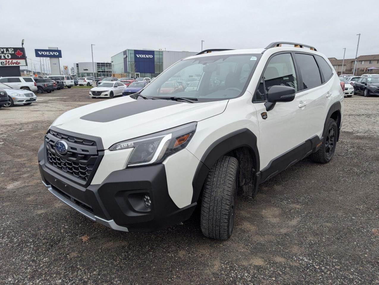 2023 Subaru Forester Wilderness  LEATHER PANOROOF CAMERA BLIND SPOT Photo