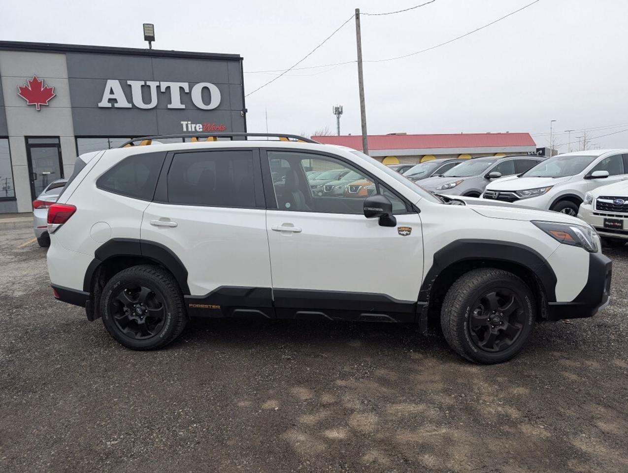 2023 Subaru Forester Wilderness  LEATHER PANOROOF CAMERA BLIND SPOT Photo