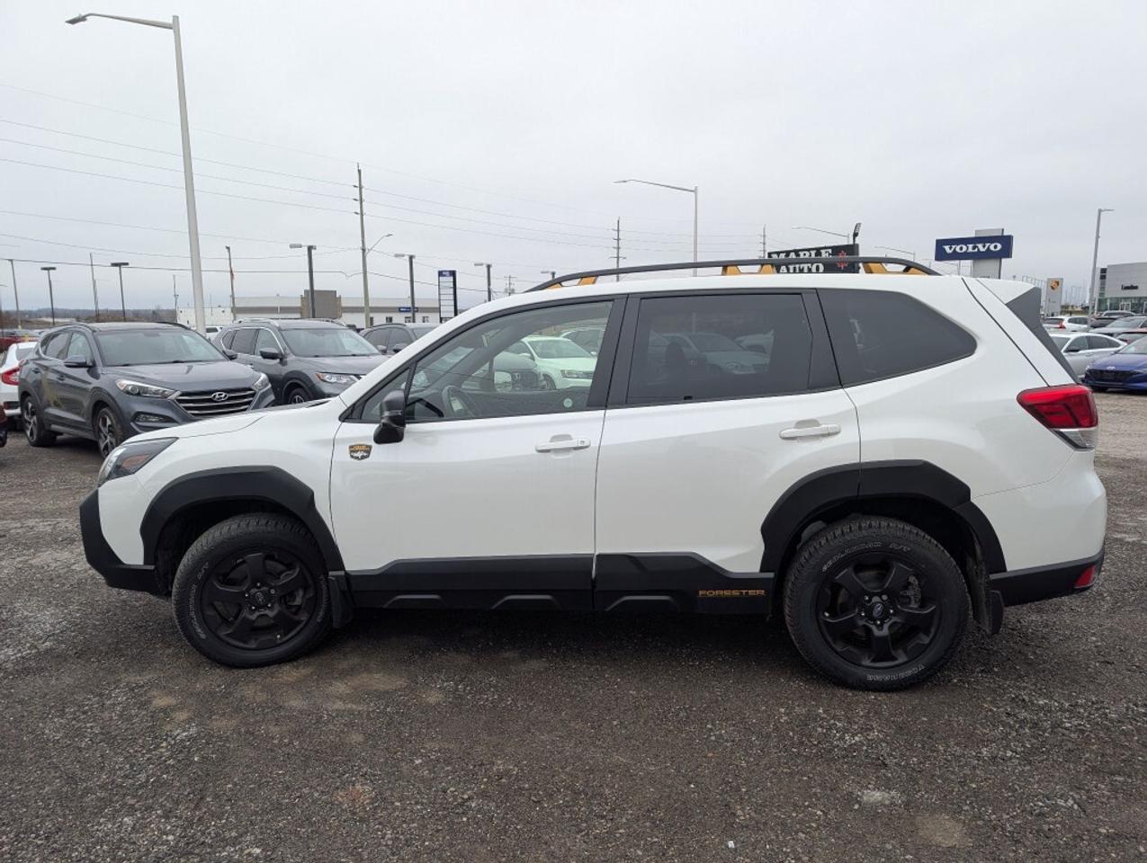 2023 Subaru Forester Wilderness  LEATHER PANOROOF CAMERA BLIND SPOT Photo