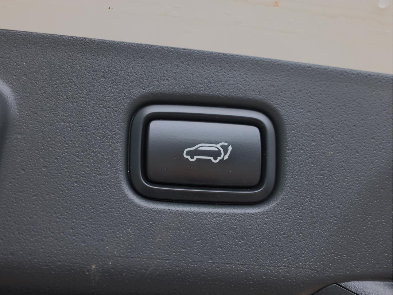 2023 Kia Niro EV Limited   Leather   Pwr Liftgate   Premium Sound Photo