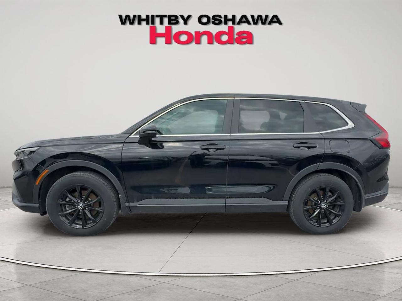 2025 Honda CR-V Hybrid EX-L AWD Photo