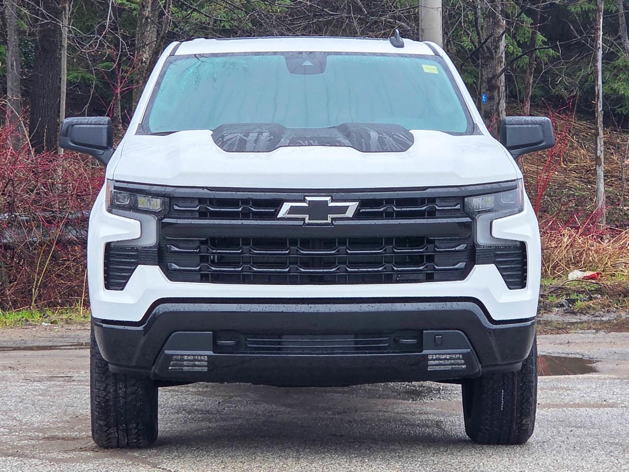 2026 Chevrolet Silverado 1500 LT Trail Boss Photo