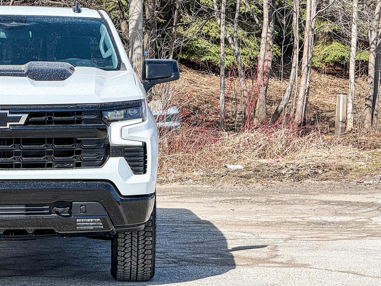 2026 Chevrolet Silverado 1500 LT Trail Boss Photo