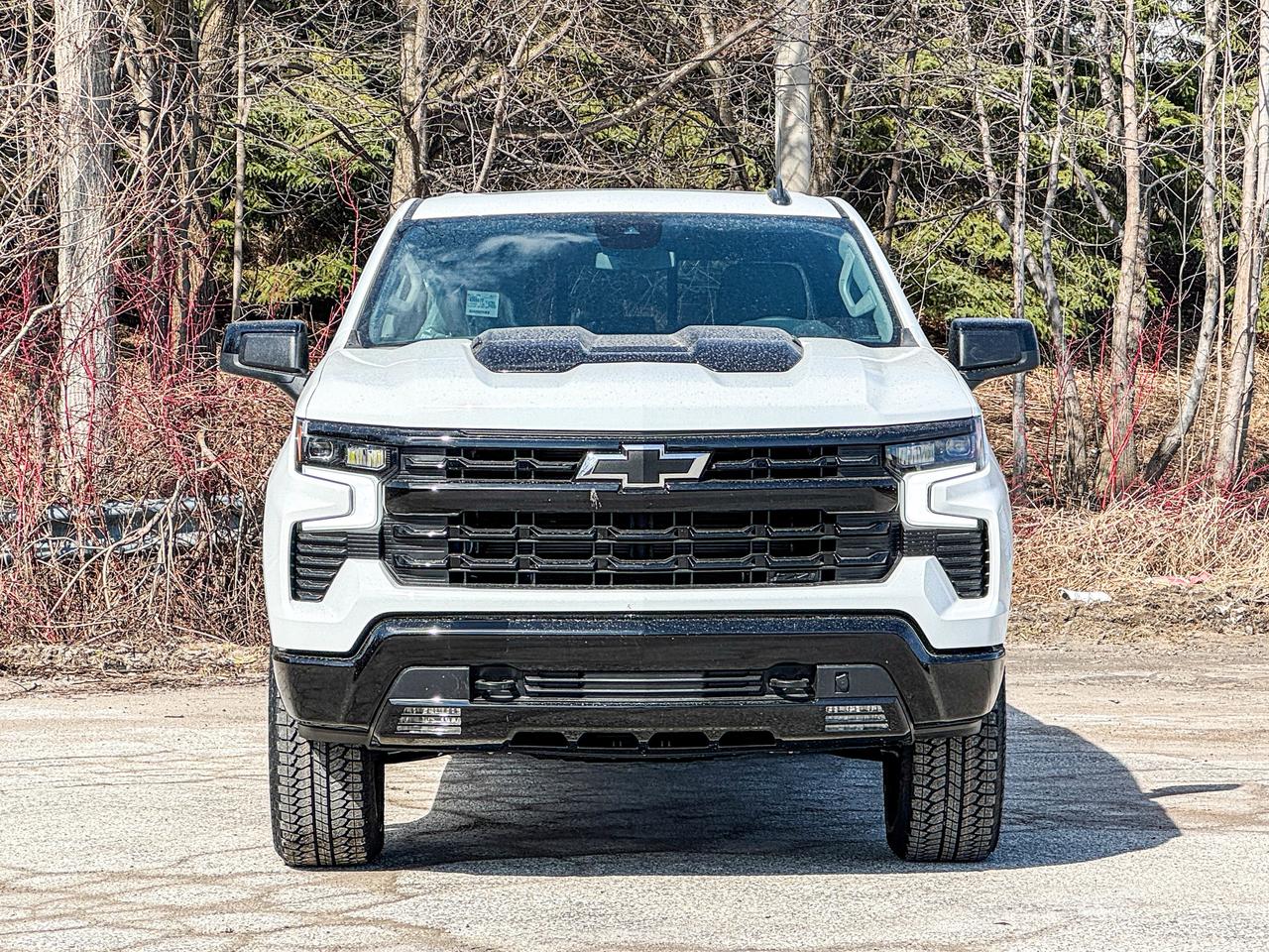 2026 Chevrolet Silverado 1500 LT Trail Boss Photo